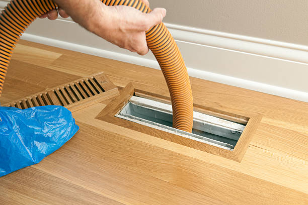 Air Duct Mold Removal in Crab Orchard, WV